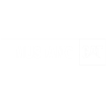 Mustang_Cat2