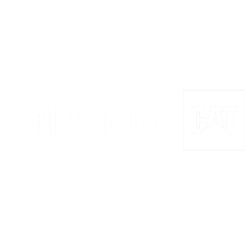 Mustang_Cat2